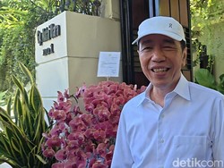 Jokowi Bertolak ke Jakarta Hari ini, Agenda Apa?