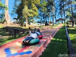 Menikmati Sejuknya Woodlands Kuningan di Kaki Gunung Ciremai