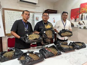 Bandar Narkoba di Deli Serdang Diringkus, Ganja Disimpan ke Semak-semak