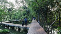 Hutan Kota Rorotan Jadi Oase Hijau di Utara Jakarta