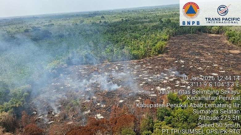 1 Hektare Lahan yang Terbakar di PALI Diduga untuk Buka Lahan Kebun