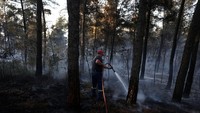 Kebakaran Hutan Ancam Wilayah Pantai Yunani, 500 Wisatawan Dievakuasi