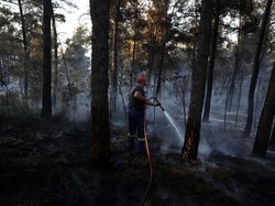 Kebakaran Hutan Ancam Wilayah Pantai Yunani, 500 Wisatawan Dievakuasi