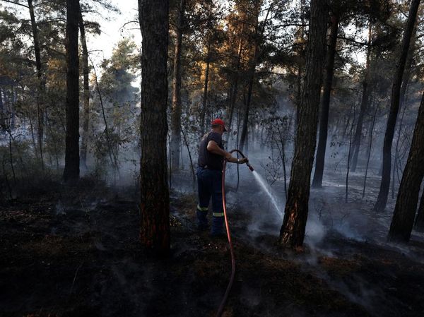 Kebakaran Hutan Dekati Permukiman, Petugas Berpacu Jinakkan Kobaran Api