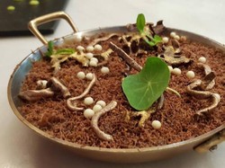 Resep Kue : Chocolate Croissant Bread and Butter Pudding
