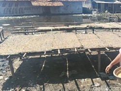 Nestapa Perajin Ikan Asin Indramayu: Bahan Baku Langka dan Rob