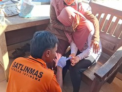 Duh! Korban Sengatan Ubur-ubur di Pantai Gunungkidul Makin Banyak