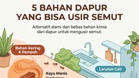 Infografis: 5 Bahan Dapur yang Ampuh Usir Semut di Rumah