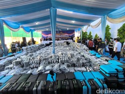 BNN Duga 3,37 Ton Kuncup Ganja di Gresik untuk Bahan Vape Narkoba