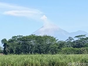 Gunung Semeru Erupsi Luncurkan Awan Panas Sejauh 4 Km