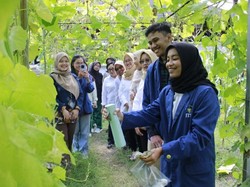 Inovatif, Mahasiswa ITS Ciptakan Pestisida Anti Air