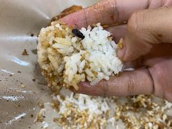 Makan Ayam Gepuk, Pria Ini Kaget Temukan Lalat Goreng di Nasi!