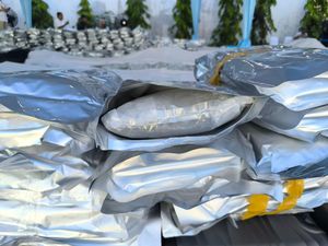 Berapa Nilai Ekonomi 3,37 Ton Kuncup Ganja yang Digerebek di Gresik?