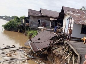 Abrasi di Sungai Kahayan Gerus Tanah 8 Meter, Dua Bangunan Roboh Saat Subuh