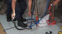 Pawang Ular Gagal, Damkar Turun Tangan Tangkap Kobra di Rumah Warga Boyolali