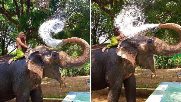 Detik-Detik Sebelum Apes, Foto Ini Bikin Susah Nahan Tawa