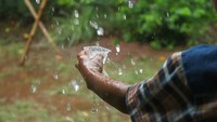 9 Daerah di Bengkulu Hujan Hari Ini, Cek Prakiraan Cuaca 25 September 2026