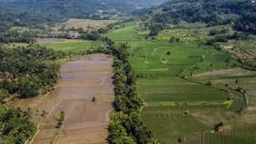 Lahan Pertanian Berkelanjutan Dipercepat untuk Lindungi Sawah
