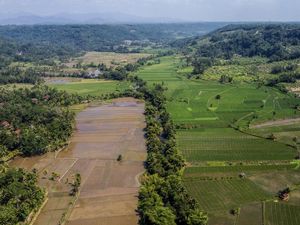 Lahan Pertanian Berkelanjutan Dipercepat untuk Lindungi Sawah