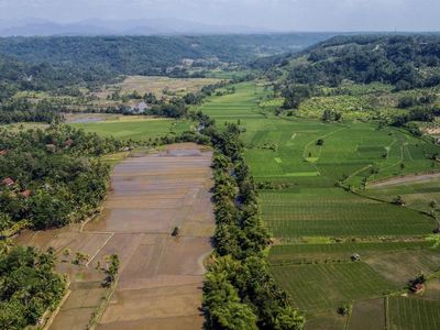 Lahan Pertanian Berkelanjutan Dipercepat untuk Lindungi Sawah