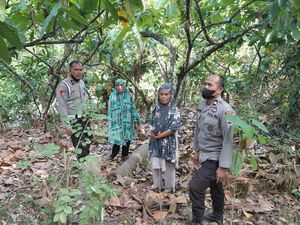 Pria di Polman Tewas Diduga Tersengat Listrik Saat Panjat Pohon