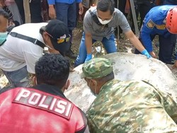 Petaka Aplikasi Jodoh Berujung Pembunuhan Wanita dalam Sumur Probolinggo
