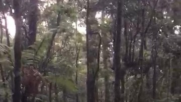Pendaki Berbobot 145 Kg Alami Kram di Gunung Gede, Evakuasinya Dramatis