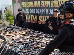 Ratusan Senpira Ilegal Dimusnahkan, Polisi Amankan 31 Tersangka