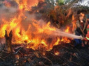 3 Hektare Lahan Gambut di Kobar Terbakar, Baru 1 Hektare yang Padam