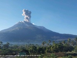 Gunung Lewotobi Laki-Laki Meletus Lagi, Muntahkan Abu Setinggi 1,4 Km