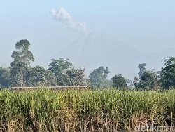 Semeru Erupsi Luncurkan 6 Kali Lava Pijar Sejauh 1 Kilometer