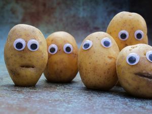 Viral Istilah Carb Face, Benarkah Harus Pangkas Karbo Biar Lebih Good Looking?
