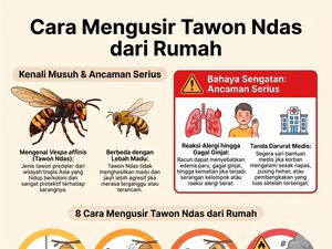 Infografis: 8 Cara Mengusir Tawon Ndas di Rumah, Jangan Nekat Dekati Sarangnya!