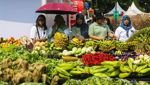 Jakarta Pamerkan Potensi Pertanian Kota Lewat Panen Raya 1.000 Meter