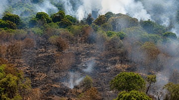 Karhutla Terjadi di Kotim Kalteng, BNPB Kerahkan Heli untuk Water Bombing