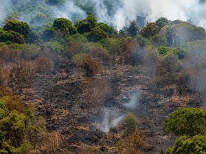 Karhutla Mengganas di Kotim, Hampir 11 Hektare Terbakar dalam 5 Hari