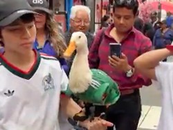 Video: Merlin, Bebek Meksiko yang Jadi Bintang Baru Piala Dunia 2026