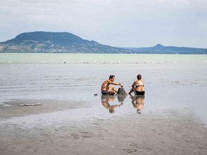 Fenomena Langka! Pulau Monyet Muncul Kembali di Danau Balaton Saat Air Surut