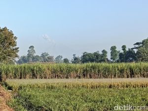 Gunung Semeru Kembali Luncurkan Lava Pijar Sejauh 1,5 Kilometer
