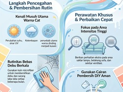Infografis: 4 Cara Bikin Cat Dinding Rumah Tetap Cerah dan Tak Mudah Pudar
