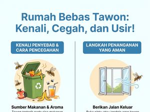 Infografis: Awas! Ini Tanda di Rumah Kamu Ada Sarang Tawon