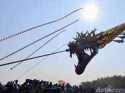 Aksi Memukau Naga 100 Meter Terbang di Langit Purworejo