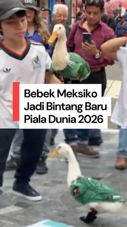  Video: Merlin, Bebek Meksiko yang Jadi Bintang Baru Piala Dunia 2026