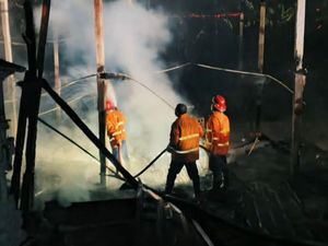 Kandang Ternak di Karangasem Terbakar, 22 Ribu Ayam Terpanggang