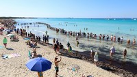 Rantai Manusia di Pantai! Warga Mallorca Protes Pariwisata Berlebihan, Desak Perlindungan Pesisir