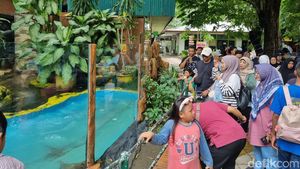 Suasana Kebun Binatang Surabaya Dipadati Pengunjung Saat Libur Sekolah