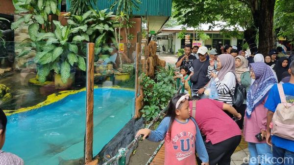 Suasana Kebun Binatang Surabaya Dipadati Pengunjung Saat Libur Sekolah