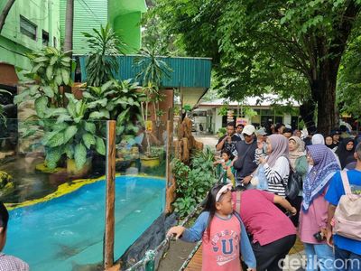 Suasana Kebun Binatang Surabaya Dipadati Pengunjung Saat Libur Sekolah