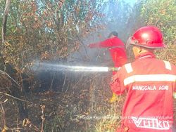 Karhutla Terjadi di Muara Enim, Tim Gabungan Berjibaku Padamkan Api