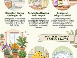 Usir Nyamuk Nggak Harus Pakai Obat, Begini Cara Alaminya